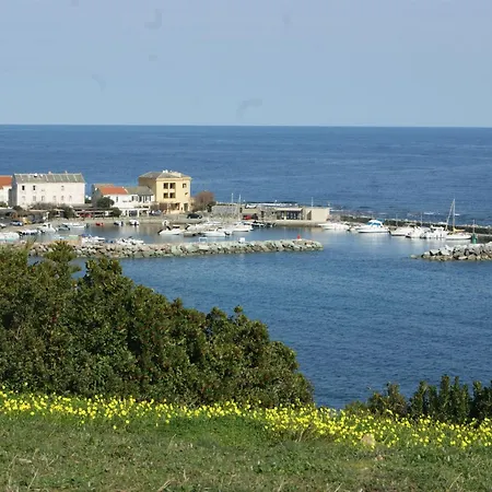 Daire Vue Sur - Les Pins