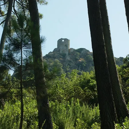 Daire Vue Sur - Les Pins *