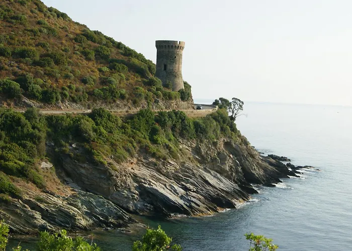 Vue Sur - Les Pins Cagnano