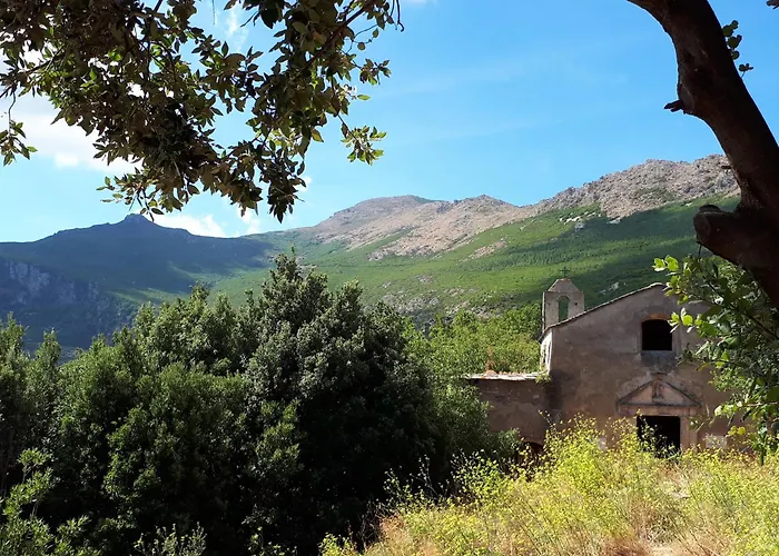 Vue Sur - Les Pins Appartement