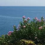 Vue Sur - Les Pins