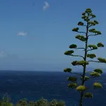 Vue Sur - Les Pins דירה *