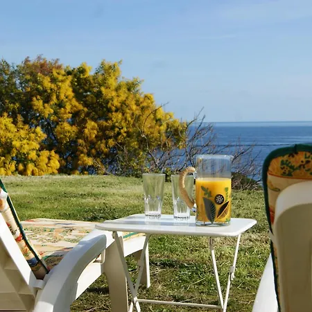 Vue Sur - Les Pins