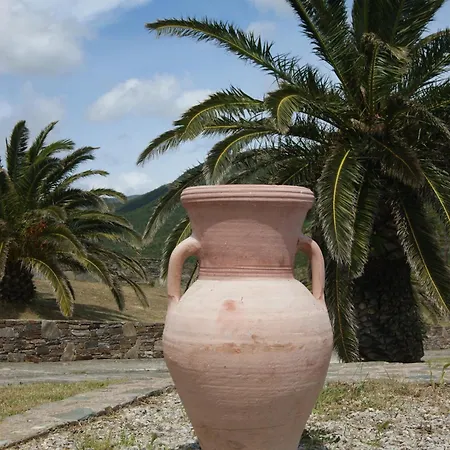Vue Sur - Les Pins Cagnano