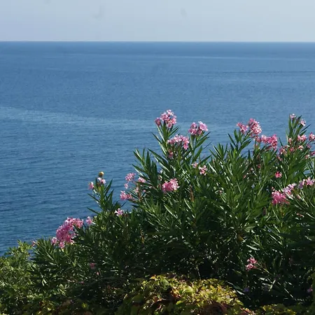 Vue Sur - Les Pins