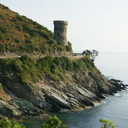 Vue Sur - Les Pins Cagnano