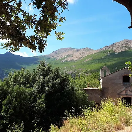 Vue Sur - Les Pins Διαμέρισμα