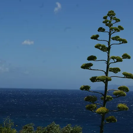 Vue Sur - Les Pins Apartament *