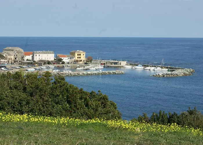 Appartement Vue Sur - Les Pins