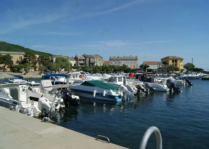 Appartement Vue Sur - Les Pins *