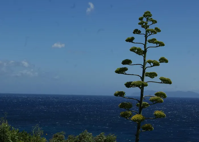 Vue Sur - Les Pins Apartmán *